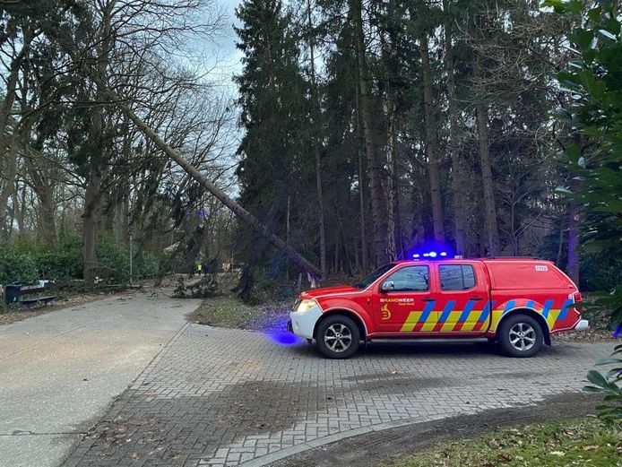 Brandweer Zone Rand krijgt 1.487 oproepen Kalmthout hln.be