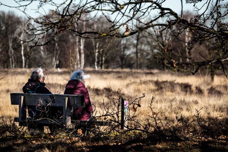 Het weerbericht voor dinsdag 26 februari: een voorproefje lente - Volkskrant