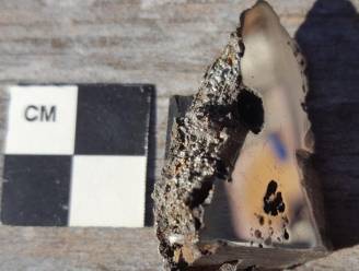 Twee nieuwe mineralen die niet op aarde voorkomen aangetroffen in meteoriet 