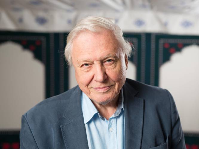 Sir David Attenborough (97) niet te horen in nieuwe aflevering van ‘Planet Earth III’