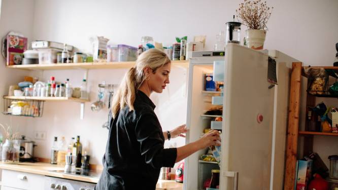 Getest: dit is de beste vrijstaande koelkast met vriezer
