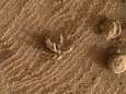 Marsrover Curiosity deelt nieuwe foto van ‘Martiaans bloemetje’ 