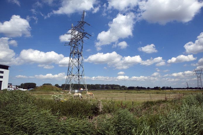 De plek waar het bedrijventerrein Nieuw Reijerwaard moet komen.