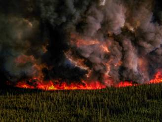 Al bijna vier miljoen hectare grond afgebrand door bosbranden in Canada, Biden biedt Trudeau bijkomende hulp aan 