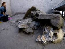 ‘Gruwelijke vondst’: archeologen vinden vijf gave skeletten in Pompeii