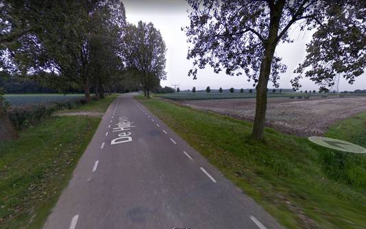 Een deel van De Hoeven, tussen Haarsteeg en Elshout.