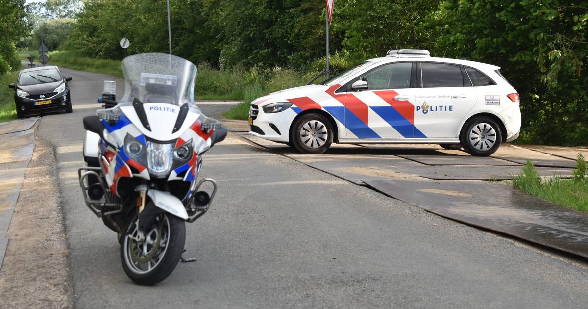 Twee tieners slaan op de vlucht na ongeluk met hond in Aalst - BD.nl