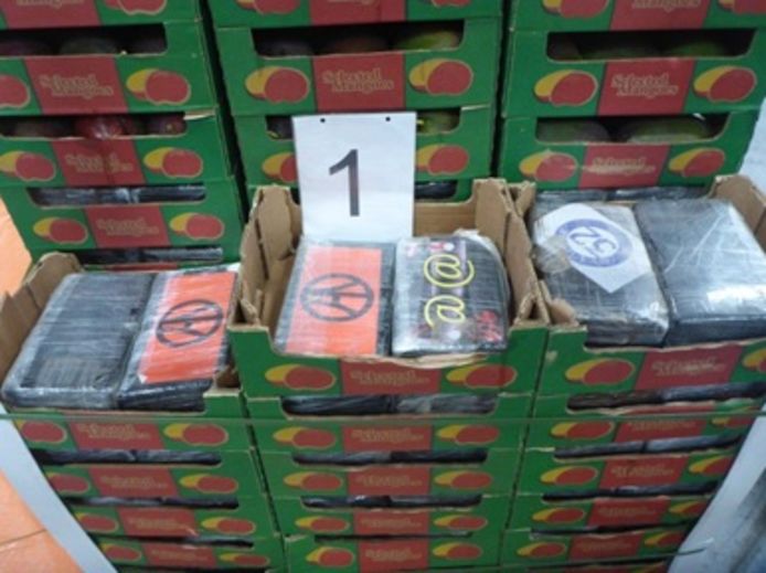 De grootste vondst deed de douane in een container met mango's uit Brazilië