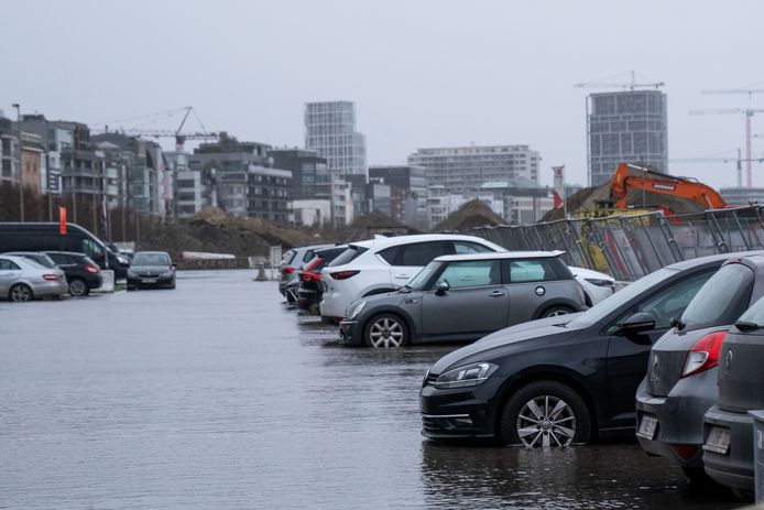 Auto’s in het water aan de Scheldekaaien in Antwerpen.