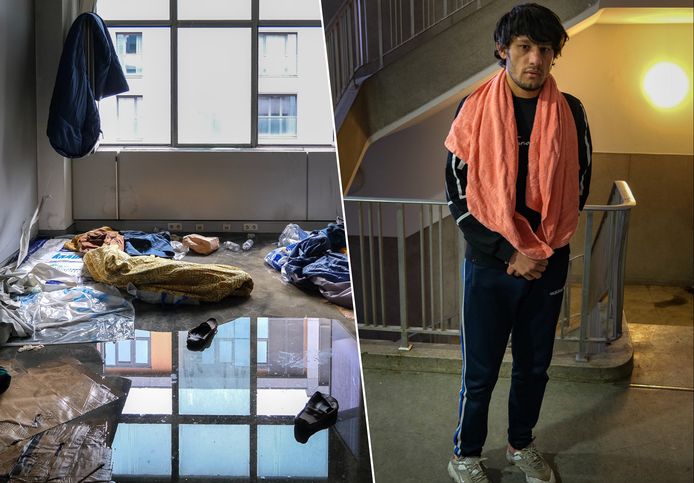 Uit een screening van Fedasil en Samusocial blijkt dat de meeste bewoners van het kraakpand in de Paleizenstraat asielzoekers zijn