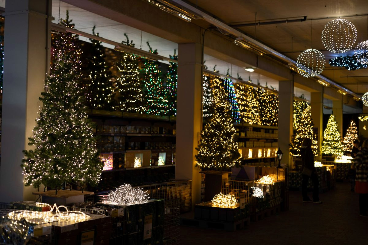 Een kerstboom kopen in Zwolle op deze plekken kun je terecht Foto AD.nl