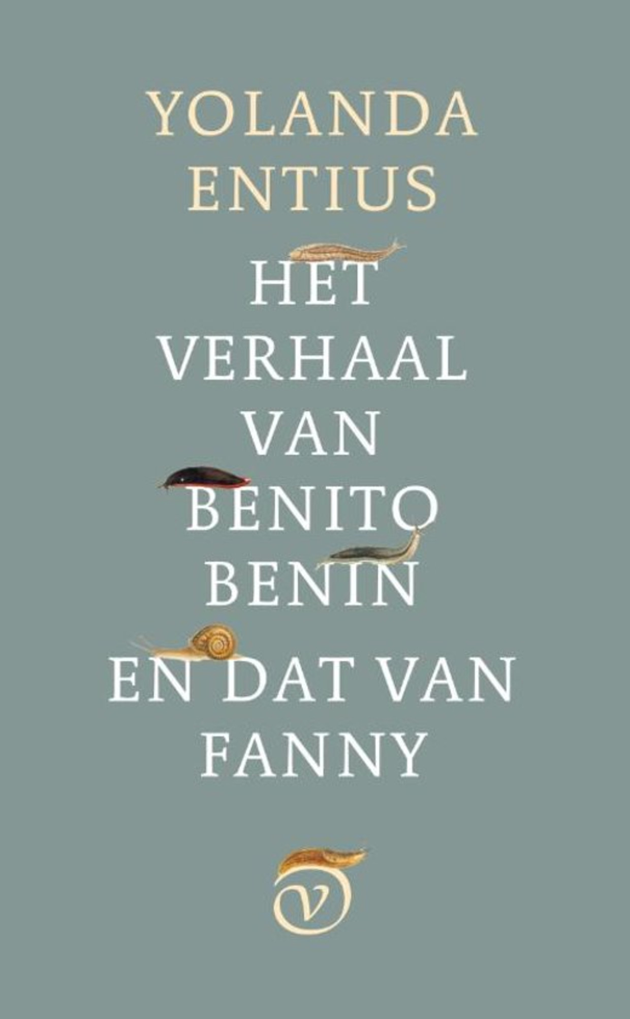 null Beeld 