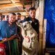 Vrees bij CD&V om tegen tijdgeest in te gaan leidt tot verwarring en verwatering