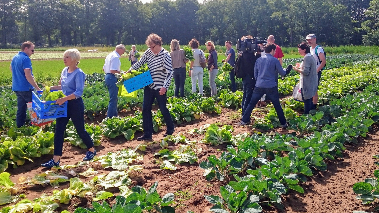 Collectief je eigen gezonde voedsel produceren. Dat is één van de principes achter Herenboeren.