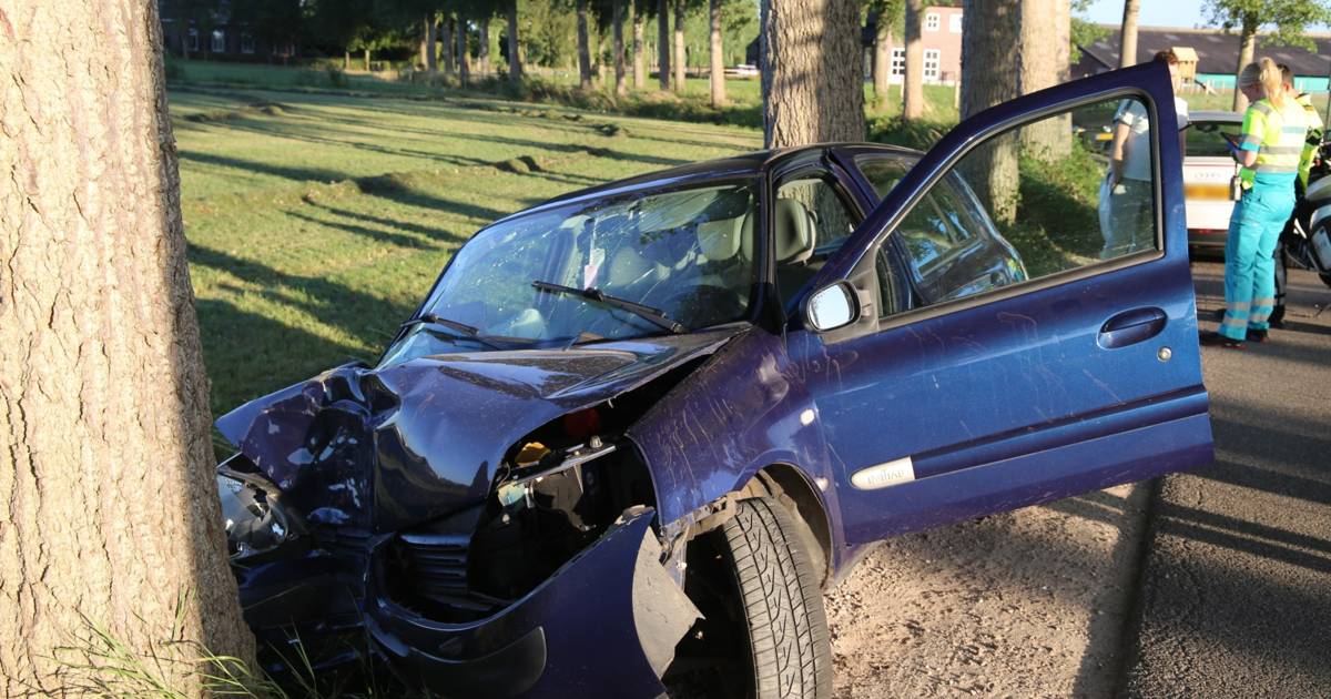 Auto zwaar beschadigd door botsing tegen boom in Sint-Oedenrode.