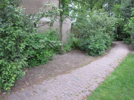 Etten-Leur gaat door met controles op snippergroen
