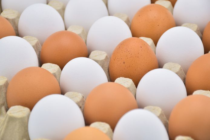 Bruine eieren niet gezonder dan veel duurder | & | AD.nl