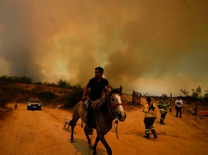 Tweede verdachte van stichten bosbranden Chili opgepakt: vuurzee doodde 137 mensen