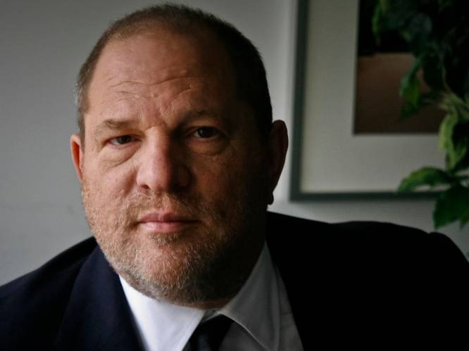 Weinstein huurde roddeljournalist in om zijn beschuldigers zwart te maken