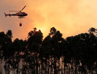 Zware bosbrand op amper 30 kilometer van Portugese toeristische stranden