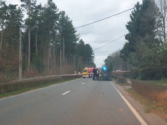De Averbodsesteenweg is afgesloten voor het verkeer door omgevallen bomen.