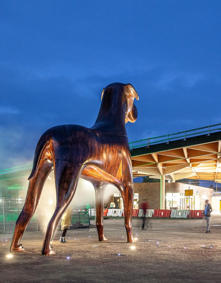 Geldschieter Viool vonnis Is Mannes, de 6 meter hoge stationshond van Assen, nu wel of niet opgeknapt  van zijn reparatie?