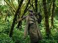 Twee parkwachters gedood in nationaal park Virunga in Congo