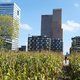 Amsterdam laat nieuwe kantoren bouwen