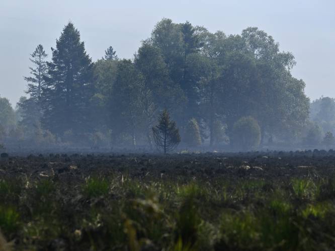 LIVEBLOG. Natuurbrand in Hoge Venen onder controle maar nog niet helemaal geblust, voorlopig geen hulp gevraagd van brandweer uit buurlanden
