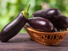 Nu is een goed moment om aubergine te eten