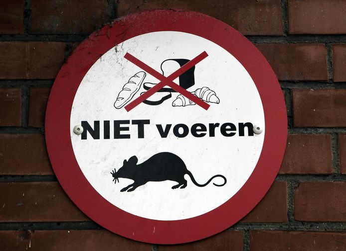 Een bord in Amsterdam-Geuzenveld met 'verboden te voeren'.
