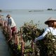 Nederlandse waterbouw moet Javanen beschermen tegen overstromingen