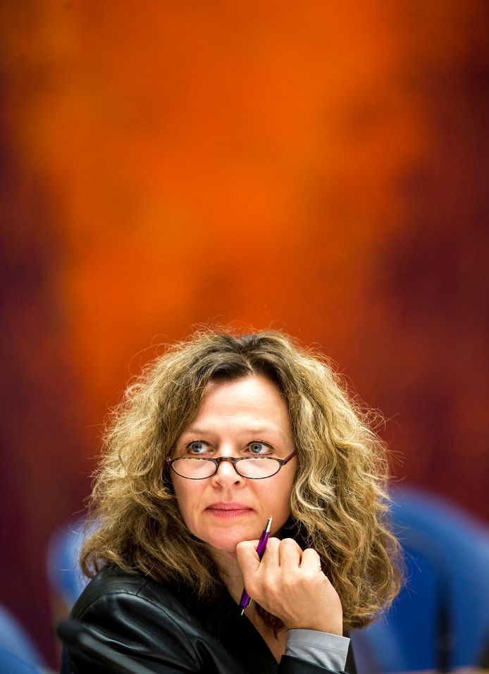 Minister Edith Schippers van VWS.