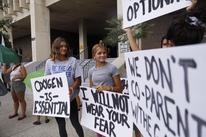 Alcuni manifestanti protestano contro la prospettiva di indossare una maschera per la bocca a Hillsboro, in Florida.  (27/07/2021)