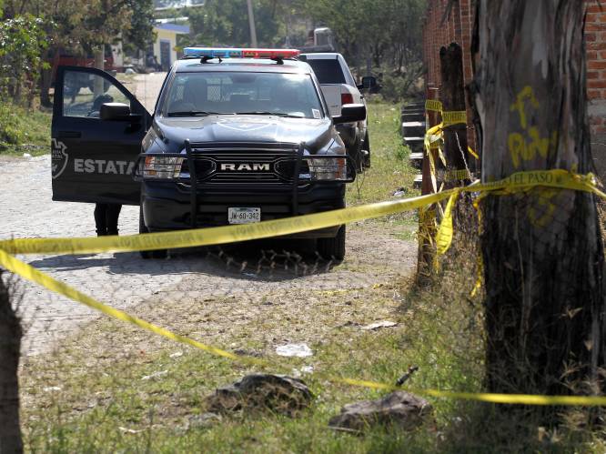 Resten van minstens 29 mensen aangetroffen in Mexicaans massagraf