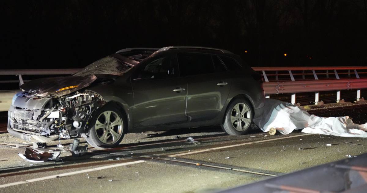 Paard dood na ongeval met auto.