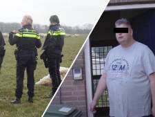 Slachting onder schapen in Renkum • Hoe de kozijnenman mensen bij de neus nam