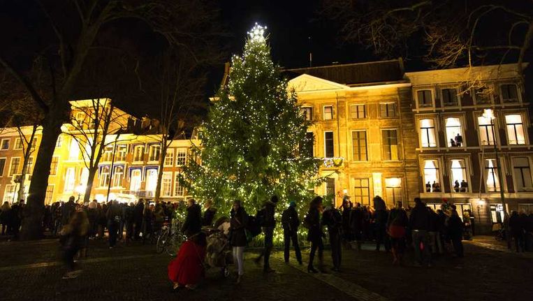 Kerstboom in Den Haag Beeld anp