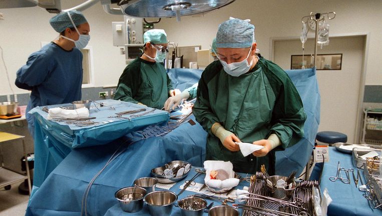 Artsen in een Leids ziekenhuis houden een nier vochtig ter voorbereiding op een transplantatie. Beeld Hollandse Hoogte / Marc de Haan