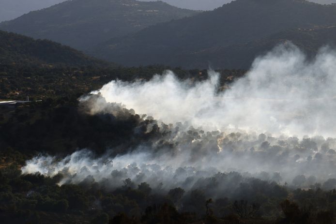 Olijfgaarden, de enige bron van inkomsten voor vele Griekse boeren, gaan op verschillende plekken in Griekenland in vlammen op.