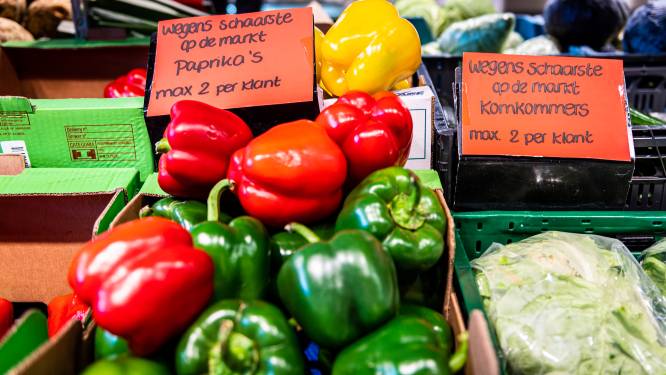 Schaarste aan groenten in winkels: ‘We verkopen maximaal twee paprika's per klant’