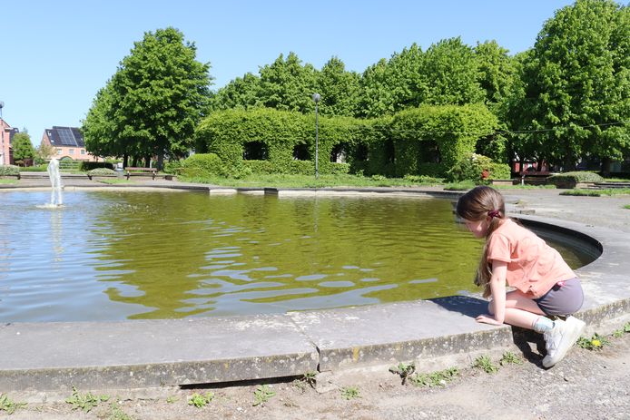 De grote vijver in het huidig park verdwijnt volledig.