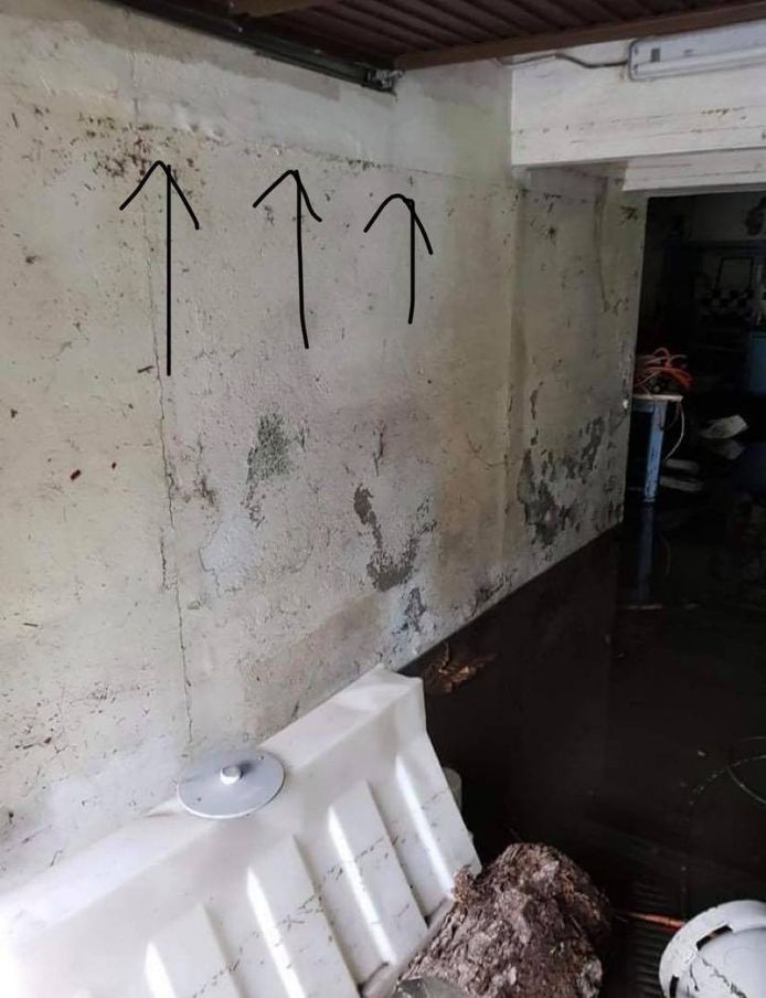L'eau est montée jusqu'à la hauteur des flèches dans la cave de la famille Schwarzenberg située à la rue de la Broucheterre à Charleroi