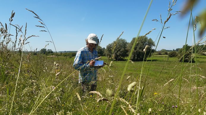 Ecoloog Ivo Raemakers tijdens een eerder veldonderzoek.