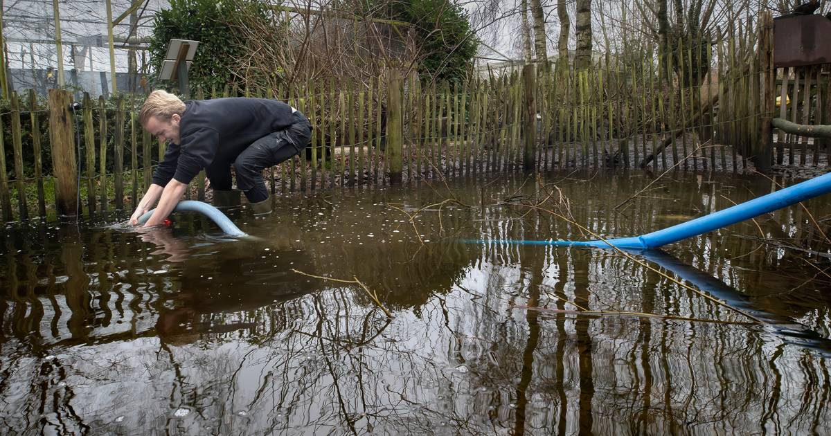 BRIEVEN | Afscheid van warm en hectisch 2023 | Opinie | bndestem.nl