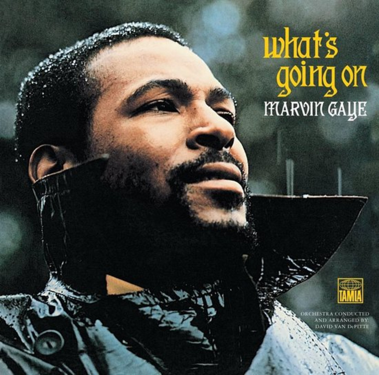 Marvin Gaye Beeld rv