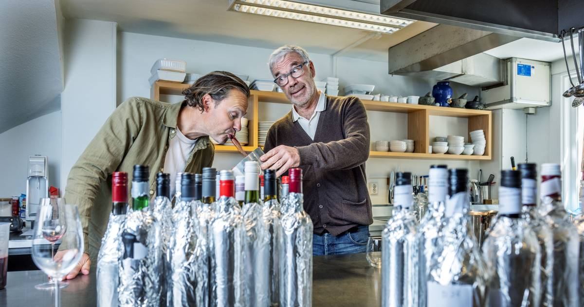 Hamersma tests 148 alcoholfree wines these 5 won't give you a