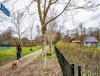 Vermaak en educatie voor iedereen in gebied Kleine Meer