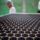 Nederlandse fabriek gebruikt al jarenlang ammoniak om Oreo-koekjes zwart te maken