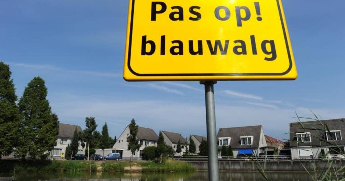 Zwemmen mag weer in de Wiel bij Acquoy